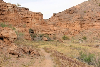 Photo of Owl Canyon Trail