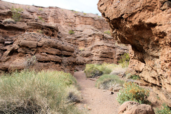 Photo of Owl Canyon Trail