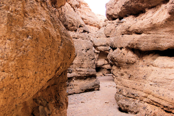 Photo of Owl Canyon Trail