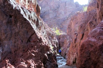 Photo of White Rock Canyon Trail