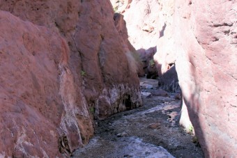 Photo of White Rock Canyon Trail